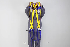 Safety Harness 2.jpg